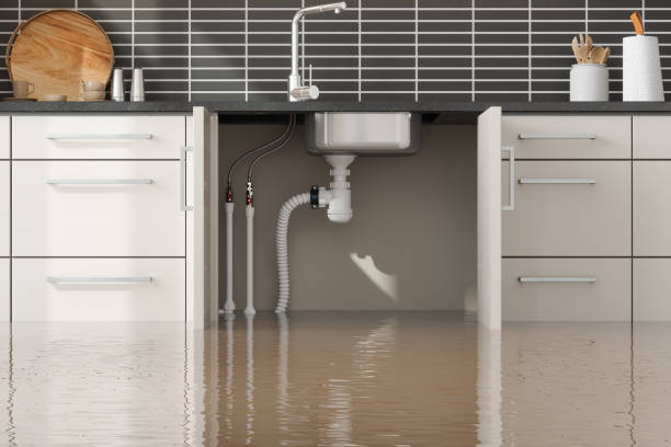 Lewisburg, TN Water damage restoration Company